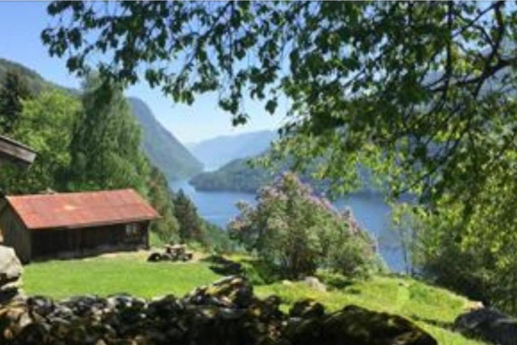 Dalen Studio 1 Buitenkant foto