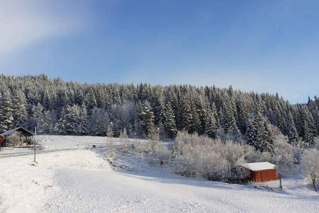 Dalen Studio 1 Buitenkant foto